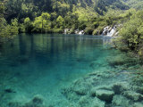 Buy Shuzheng Lake, Jiuzhaigou National Scenic Area, Sichuan Province, China at AllPosters.com