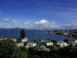 Torpedo Bay, Auckland, North Island, New Zealand, Oceania