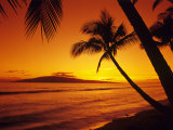 Colorful Sunset in a Tropical Paradise, Maui Hawaii, USA