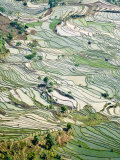 Flooded Laohu Zui Rice Terraces, Mengpin Village, Yuanyang County, Yunnan, China