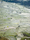 Flooded Laohu Zui Rice Terraces, Mengpin Village, Yuanyang County, Yunnan, China