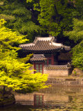 Huwon Gardens, Changdeokgung Palace, Seoul, South Korea