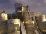 Frank Gehry