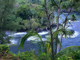 Buy Hilo, Big Island, Hawaii at AllPosters.com