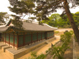 Changdeokgung Palace, Huwon Secret Garden, Seoul, South Korea