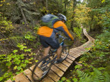 Mountain biking on the Stairway to Heaven Trail, Copper Harbor, Michigan, USA Photographic Print