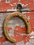 Rusty Horseshoe Hanging, Ponderosa Ranch, Seneca, Oregon, USA Photographic Print
