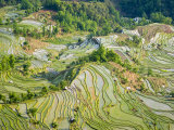 Flooded Laohu Zui Rice Terraces, Mengpin Village, Yuanyang County, Yunnan, China
