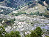 Flooded Rice Terraces, Mengpin Village, Yuanyang County, Yunnan, China