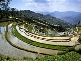 Buy Flooded Rice Terraces, Panzhihua Village, Yuanyang County, Yunnan Province, China at AllPosters.com