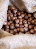Macadamia Nuts, Ok Farms, Hilo, Big Island, Hawaii, USA