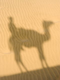 Buy Shadow of Camel Rider, Thar Desert, Jaisalmer, Rajasthan, India at AllPosters.com