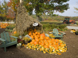 Gourds at the Moulton Farm farmstand in Meredith, New Hampshire, USA