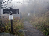 Appalachian Trail near Clingman's Dome, Great Smoky Mountains, Tennessee, USA