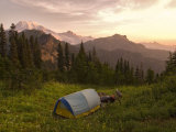 Blue backpacking tent in the Tatoosh Wilderness, Washington State, USA