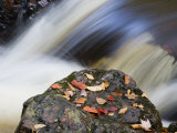 Overlooked Falls, Porcupine Mountains Wilderness State Park, Michigan, USA