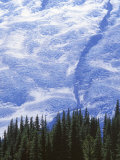Emmons Glacier, Mt. Rainier National Park, Washington, USA