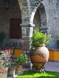 Buy Courtyard of A Villa in San Miguel, San Miguel De Allende, Guanajuato State, Mexico at AllPosters.com