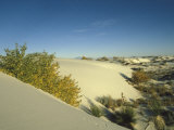 Buy Desert Landscape, White Sands National Monument, New Mexico, USA at AllPosters.com