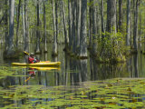 Kayaking, Cypress Gardens, Moncks Corner, South Carolina, USA