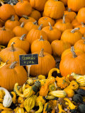 Gourds at the Moulton Farm farmstand in Meredith, New Hampshire, USA