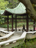 Buy Tai Chi Chuan in the Chinese Garden Pavilion at Kowloon Park, Tsim Sha Tsui Area, Hong Kong, China at AllPosters.com