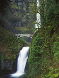 Multnomah Falls, Columbia Gorge National Scenic Area, Oregon, USA