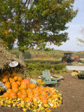 Gourds at the Moulton Farm farmstand in Meredith, New Hampshire, USA