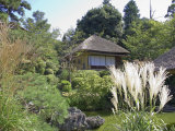 Buy Tea House in Winter Season, Kyoto, Japan at AllPosters.com
