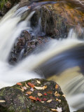 Overlooked Falls, Porcupine Mountains Wilderness State Park, Michigan, USA