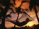 Hammock, Maui, Hawaii, USA