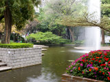 Pond With Fountain in Kowloon Park, Tsim Sha Tsui Area, Kowloon, Hong Kong, China