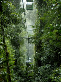 Buy Rain Forest Tram, Braulio Carrillo National Park, Sarapiqui, Costa Rica at AllPosters.com