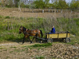 Bulgarian Countryside