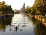 Rowers in Lincoln Park lagoon at dawn, Chicago, Illinois, USA