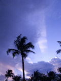 Buy Sunset, Captiva Island, Florida at AllPosters.com