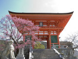 Buy Soaring Gate of Temple, Kyoto, Japan at AllPosters.com