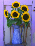 Sunflowers Displayed in Enamelware Pitcher, Willamette Valley, Oregon, USA