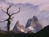 Fitz Roy And Poincenot, National Park Los Glaciares, El Chalten, Patagonia, Argentina