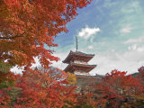 Buy Pagoda in Autumn Color, Kyoto, Japan at AllPosters.com