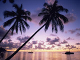 Opunohu Bay, Moorea, French Polynesia