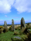 Buy Druid Circle, County Cork, Ardgroom Outward, Ireland at AllPosters.com