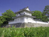 Buy Nijo Castle, Kyoto, Japan at AllPosters.com