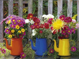 Buy Antique Enamelware Coffeepots, Portland, Oregon, USA at AllPosters.com
