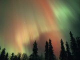 Buy Aurora Borealis, Fairbanks Area, Alaska, USA at AllPosters.com