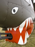Military Airshow, Olympia, Washington, USA