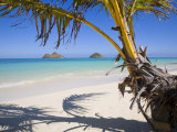 Palm shadow on Lanikai Beach, Mokulua islands, Hawaii