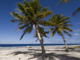 Fakarawa, Tuamotu Archipelago, French Polynesia