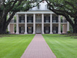 Buy Oak Alley Plantation, Vacherie, St. James Parish, Louisiana, USA at AllPosters.com