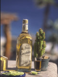 Tequila, Cabo San Lucas, Baja California, Mexico